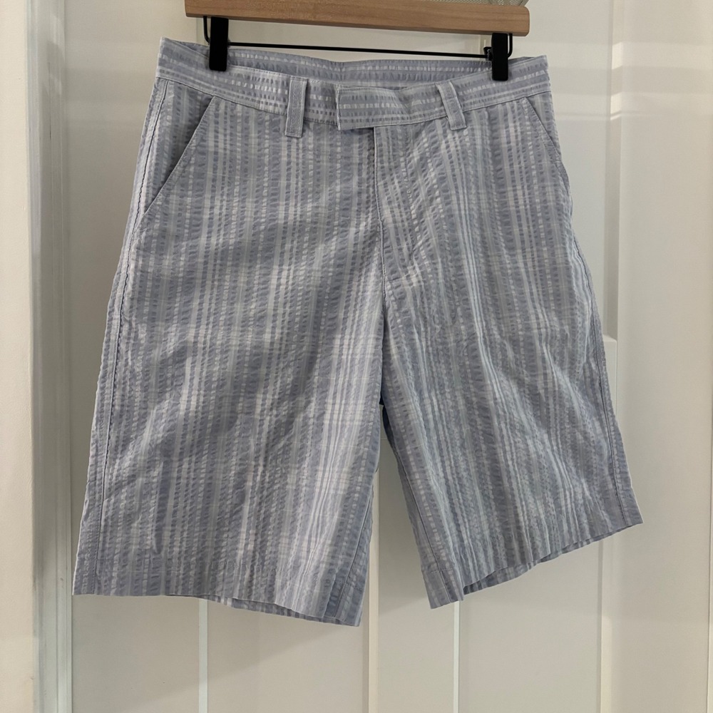Patagonia Organic Cotton Blend Men's Shorts Blue Striped Thrift 10"‎ Size 30